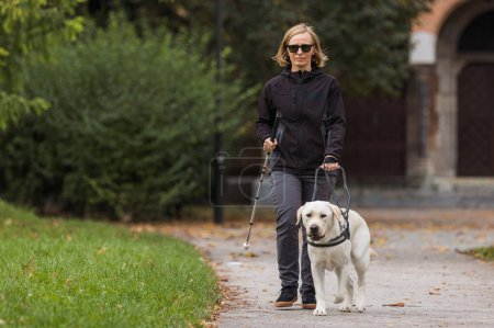 Photo for Blind woman in the company of her loyal guide dog safely and relaxed walking along a city park. - Royalty Free Image