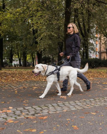 Photo for Blind woman in the company of her loyal guide dog safely and relaxed walking along a city park. - Royalty Free Image