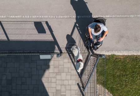 Chien d'assistance fournissant une aide quotidienne à un homme handicapé en fermant une porte de cour, aérienne directement au-dessus de la vue sur le drone. Concept de sortie du bâtiment.