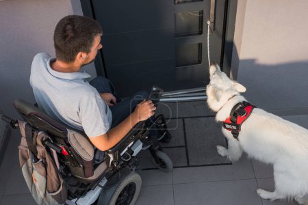 Service dog closing a door, helping a man in a wheelchair to exit the home. Independent living support for people with disability concept.