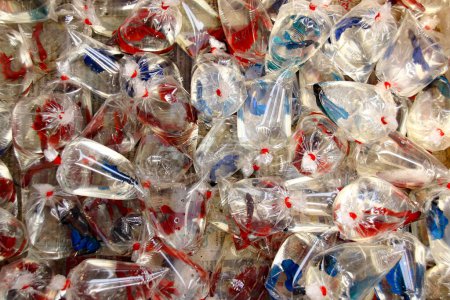 Téléchargez les photos : Sac en plastique plein de recyclage - en image libre de droit
