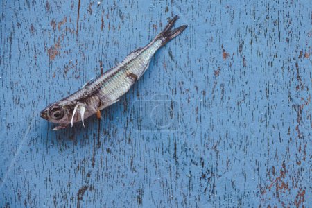 Photo for Fresh fish on the wood table - Royalty Free Image