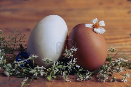 Téléchargez les photos : Oeufs de Pâques sur le fond en bois - en image libre de droit