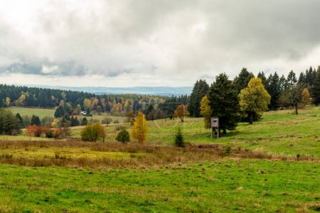 Téléchargez les photos : Visite découverte estivale à travers la forêt de Thuringe près de Steinbach-Hallenberg - Thuringe - en image libre de droit