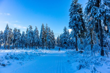 Photo for Beautiful winter landscape on the heights of the Thuringian Forest near Oberhof - Thuringia - Royalty Free Image