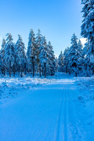 Photo for Beautiful winter landscape on the heights of the Thuringian Forest near Oberhof - Thuringia - Royalty Free Image