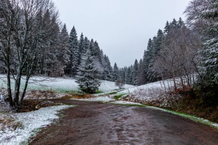 Foto de A touch of winter on the heights of the Thuringian Forest near Floh-Seligenthal - Thuringia - Imagen libre de derechos