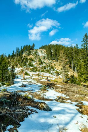 Foto de Caminata de primavera en el bosque bávaro desde Groer Arbersee hasta la cumbre de Groer Arber - Baviera - Alemania - Imagen libre de derechos