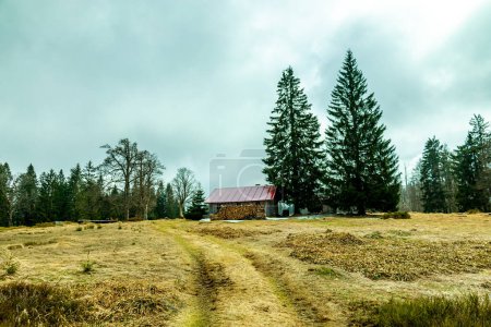 Photo for Spring hike in the Bavarian Forest to Zwieselter Fist on the border with the Czech Republic - Bavaria - Germany - Royalty Free Image