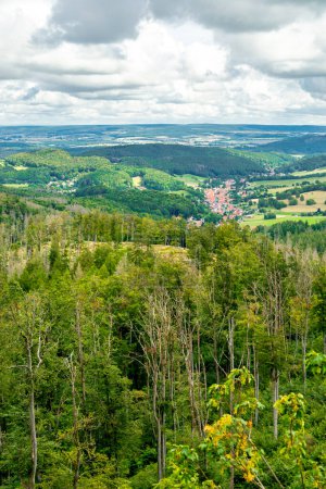 Photo for Summer walk on the high trail of the Thuringian Forest near Ruhla  - Thuringia - Germany - Royalty Free Image