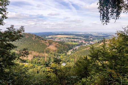 Summer hike on the high trail of the Thuringian Forest near Bad Tabarz - Thuringia - Germany