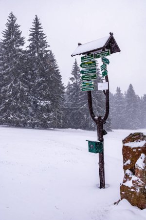 Foto de Primera caminata de invierno por el bosque turingio cubierto de nieve cerca de Tambach-Dietharz - Turingia - Alemania - Imagen libre de derechos