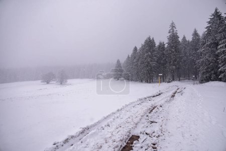 Foto de Primera caminata de invierno por el bosque turingio cubierto de nieve cerca de Tambach-Dietharz - Turingia - Alemania - Imagen libre de derechos
