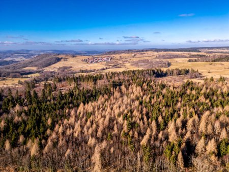 Short winter hike on a beautiful sunny day along the former border between Thuringia, Hesse and Bavaria - Fladungen - Rhn - Germany