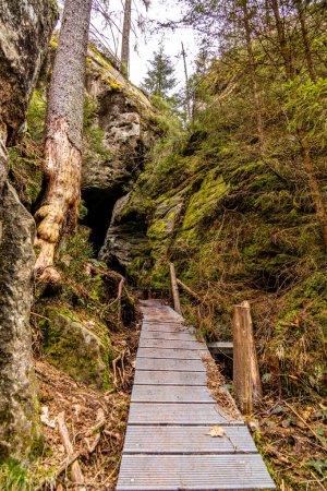 A springtime hiking tour through the Kirnitzschtal valley in Saxon Switzerland - Saxony - Germany