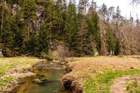 A springtime hiking tour through the Kirnitzschtal valley in Saxon Switzerland - Saxony - Germany