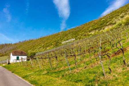 Une randonnée cycliste printanière début avril sous un soleil glorieux le long des pistes cyclables Saale et Ilm Valley de Naumburg / Saale à juste avant Gotha - Thuringe et Saxe-Anhalt - Allemagne