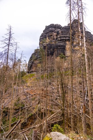 A springtime hiking tour via the Hirschmhle to the Carola Rock in Saxon Switzerland - Schmilka - Saxony - Germany