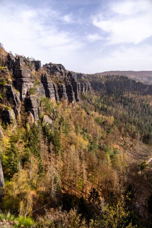 Frühlingswanderung über die Hirschmhle zum Carola-Felsen in der Sächsischen Schweiz - Schmilka - Sachsen - Deutschland