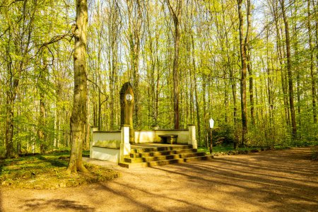 Une courte randonnée de Bad Liebenstein au Rennsteig, y compris le réveil printanier dans le parc Altenstein sous un soleil glorieux - Thuringe - Allemagne