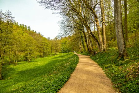 Un corto recorrido de senderismo desde Bad Liebenstein hasta Rennsteig, incluyendo el despertar de primavera en el Parque de Altenstein bajo el sol glorioso - Turingia - Alemania