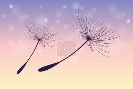Illustration for Vector illustration of dandelion time. Beautiful realistic Dandelion seeds blowing in the wind. The wind inflates a dandelion isolated in an editable evening purple sky background - Royalty Free Image