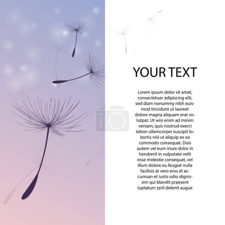 vector dandelion blowing seeds with flower background for banner poster, cards, and template. Black Dandelion seeds blowing in the wind. The wind inflates a dandelion isolated on white background.