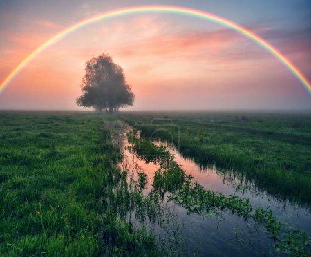 Téléchargez les photos : Landscape with a Rainbow on the River in Spring. colorful morning. nature of Ukraine - en image libre de droit
