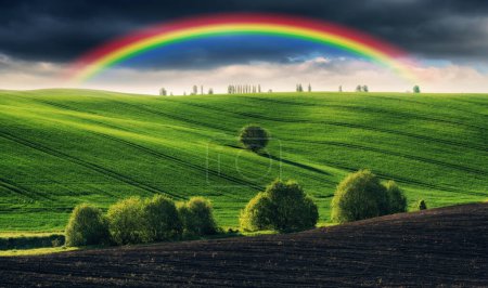 Hermoso arco iris sobre el campo. Paisaje agrícola. Naturaleza de Ucrania