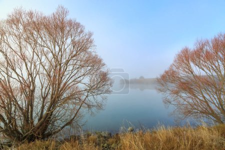 Téléchargez les photos : Belle matinée d'automne avec un lac et des arbres. Lac Benmore, Otago, Nouvelle-Zélande - en image libre de droit
