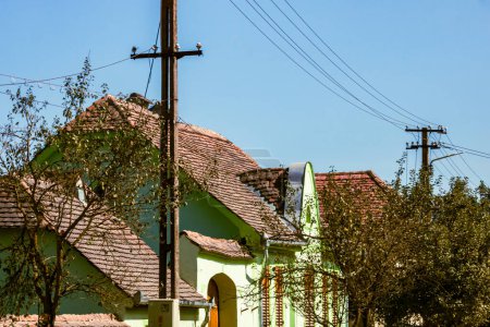 Téléchargez les photos : Vue du village pittoresque Viscri en Roumanie. Maisons anciennes traditionnelles peintes dans le village médiéval saxon de Viscri, Roumanie, 2021 - en image libre de droit