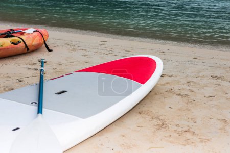 Téléchargez les photos : Repos actif, sport, kayak. Canoë sur une plage de sable - en image libre de droit