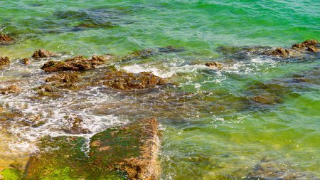 Téléchargez les photos : Plage publique d'Ajaccio, paysage estival de l "île de Corse, France - en image libre de droit