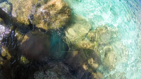 Plage tropicale de l'île Princess Cays aux Bahamas