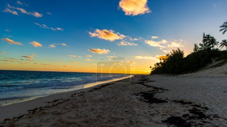 Téléchargez les photos : Plage de Horseshoe Bay et Deep Bay Beach à Hamilton, Bermudes - en image libre de droit