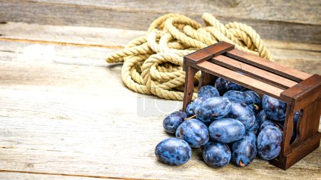 Ciruelas azules maduras en una caja de madera en una composición rústica.