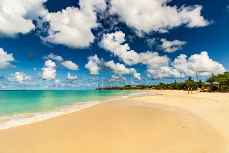 Playa caribeña con arena blanca, cielo azul profundo y agua turquesa