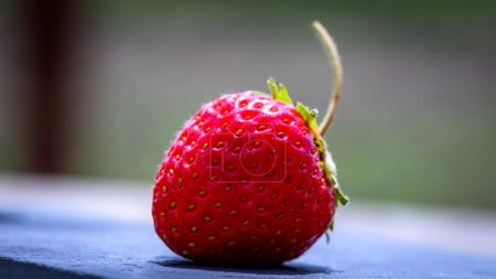 Gros plan de fraise fraîche montrant des graines d'akènes. Détails d'une fraise rouge mûre fraîche.