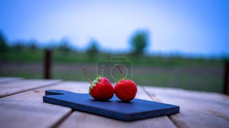 Gros plan de deux fraises sur une petite planche à découper noire isolée à l'extérieur sur une table en bois.