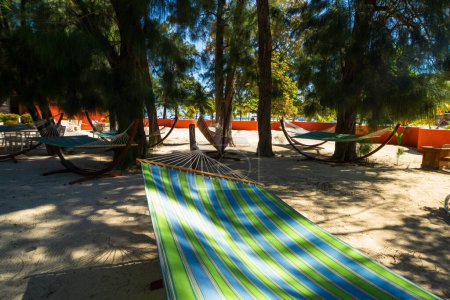 Sonnenschirme und Liegestühle am exotischen tropischen Strand, Haiti, Karibik