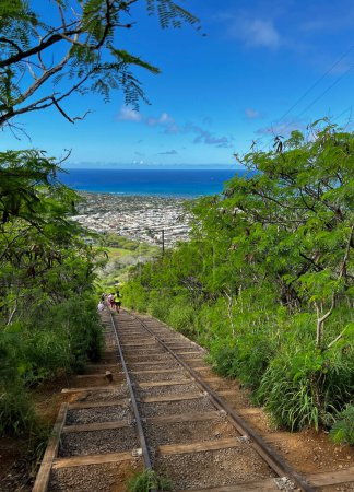 Téléchargez les photos : Looking down from a hike on the Koko Crater Railway Trail overlooking Honolulu, Hawaii. - en image libre de droit