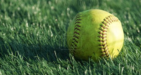 Photo for Game used softball sitting in the grass with golden hour light - Royalty Free Image