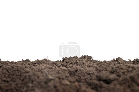 Photo for Black fertile soil for growing plants isolated on white background. - Royalty Free Image