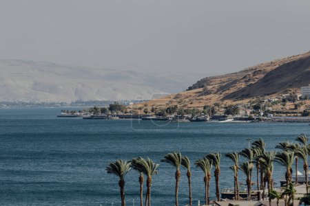 Foto de Palmera en el Mar de Galilie. línea de costa azul y verde en la hora de verano. - Imagen libre de derechos