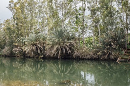 Téléchargez les photos : Photos de Jordan Rvier en Israël. La rivière, les palmiers et les animaux dans la région de la rivière. - en image libre de droit