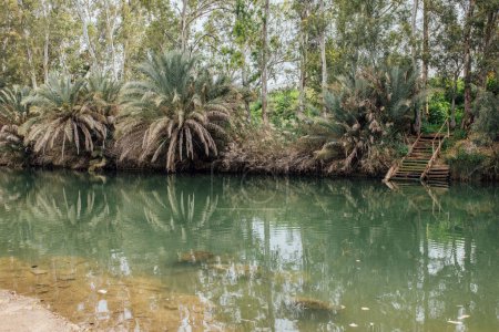 Téléchargez les photos : Photos de Jordan Rvier en Israël. La rivière, les palmiers et les animaux dans la région de la rivière. - en image libre de droit