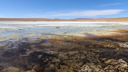 Foto de Bolivia, Laguna Kollpa en el Parque Nacional Avaroa. Un lago alcalino salado donde los flamencos se alimentan. - Imagen libre de derechos