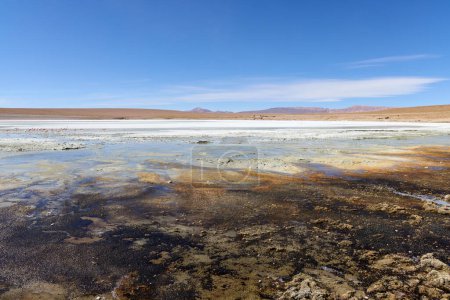 Foto de Bolivia, Laguna Kollpa en el Parque Nacional Avaroa. Un lago alcalino salado donde los flamencos se alimentan. - Imagen libre de derechos