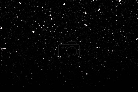 Photo for Falling snow freeze motion in the dark sky. Texture isolated on black background. Perfect for white snowflakes overlay, winter abstract - Royalty Free Image
