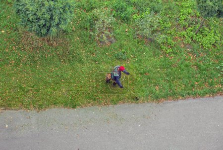 Foto de Trabajador corta la hierba con un cepillo de gasolina en la ciudad, vista superior - Imagen libre de derechos